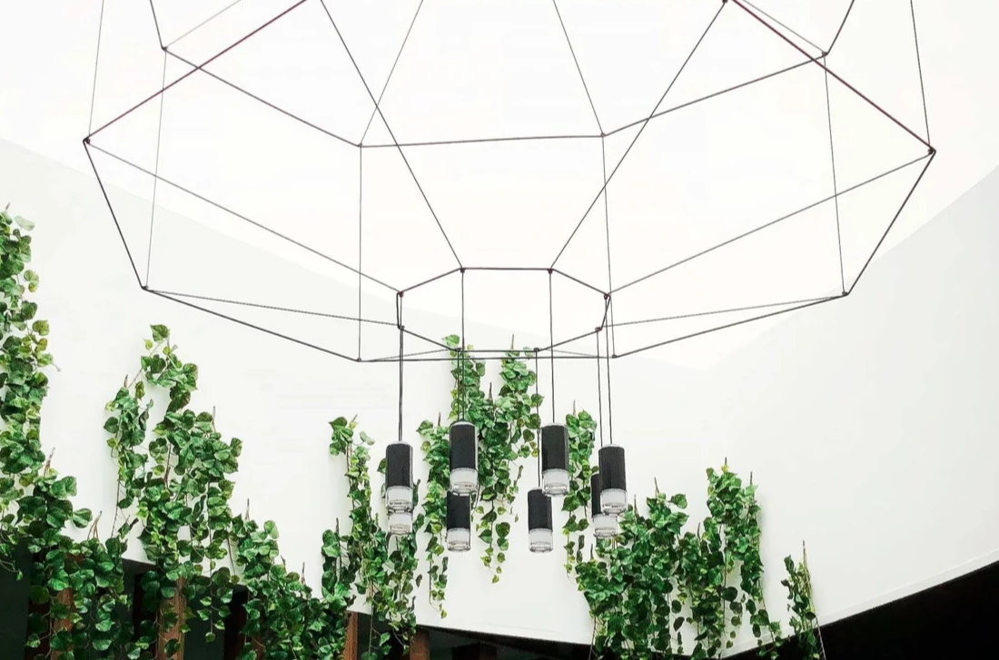 Gorilla Unexport 07b scaled 1 1 Gorilla Ibiza